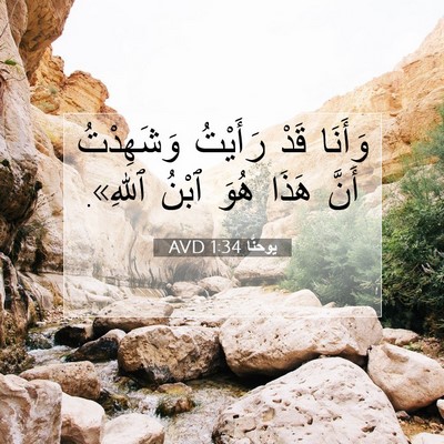 Picture 07 - يوحنَّا 1:34 AVD - وَأَنَا قَدْ رَأَيْتُ - Bible Verse Picture
