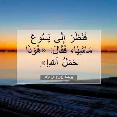Picture 07 - يوحنَّا 1:36 AVD - فَنَظَرَ إِلَى يَسُوعَ - Bible Verse Picture