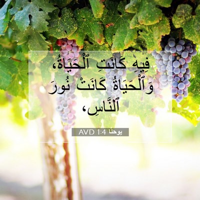 Picture 07 - يوحنَّا 1:4 AVD - فِيهِ كَانَتِ ٱلْحَيَاةُ، - Bible Verse Picture