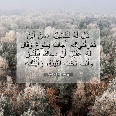 Picture 07 - يوحنَّا 1:48 AVD - قَالَ لَهُ نَثَنَائِيلُ: - Bible Verse Picture
