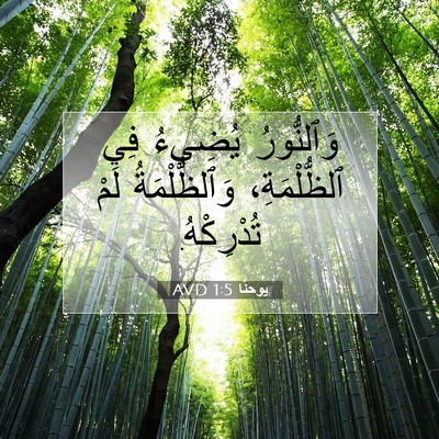 Picture 07 - يوحنَّا 1:5 AVD - وَٱلنُّورُ يُضِيءُ فِي - Bible Verse Picture