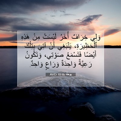 Picture 07 - يوحنَّا 10:16 AVD - وَلِي خِرَافٌ أُخَرُ - Bible Verse Picture