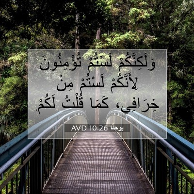 Picture 07 - يوحنَّا 10:26 AVD - وَلَكِنَّكُمْ لَسْتُمْ - Bible Verse Picture