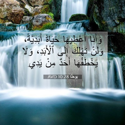 Picture 07 - يوحنَّا 10:28 AVD - وَأَنَا أُعْطِيهَا - Bible Verse Picture