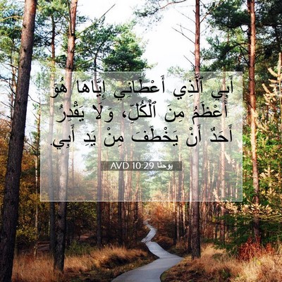Picture 07 - يوحنَّا 10:29 AVD - أَبِي ٱلَّذِي أَعْطَانِي - Bible Verse Picture