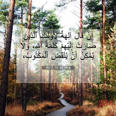 Picture 07 - يوحنَّا 10:35 AVD - إِنْ قَالَ آلِهَةٌ - Bible Verse Picture