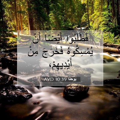 Picture 07 - يوحنَّا 10:39 AVD - فَطَلَبُوا أَيْضًا أَنْ - Bible Verse Picture