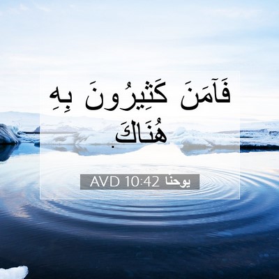 Picture 07 - يوحنَّا 10:42 AVD - فَآمَنَ كَثِيرُونَ بِهِ - Bible Verse Picture
