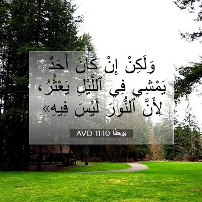 Picture 07 - يوحنَّا 11:10 AVD - وَلَكِنْ إِنْ كَانَ أَحَدٌ - Bible Verse Picture