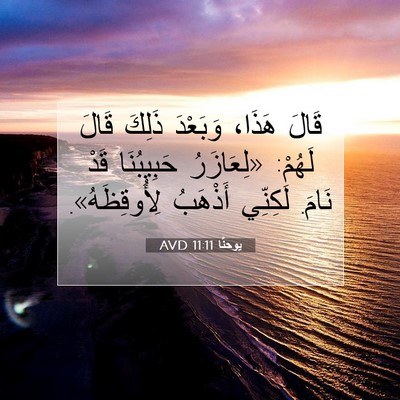 Picture 07 - يوحنَّا 11:11 AVD - قَالَ هَذَا، وَبَعْدَ - Bible Verse Picture