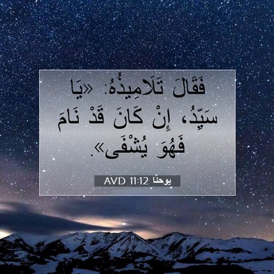 Picture 07 - يوحنَّا 11:12 AVD - فَقَالَ تَلَامِيذُهُ: «يَا - Bible Verse Picture