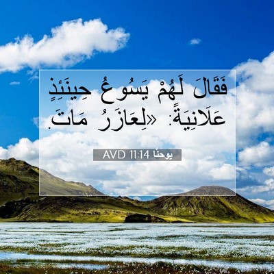 Picture 07 - يوحنَّا 11:14 AVD - فَقَالَ لَهُمْ يَسُوعُ - Bible Verse Picture