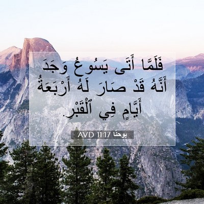 Picture 07 - يوحنَّا 11:17 AVD - فَلَمَّا أَتَى يَسُوعُ - Bible Verse Picture