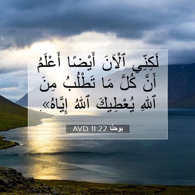 Picture 07 - يوحنَّا 11:22 AVD - لَكِنِّي ٱلْآنَ أَيْضًا - Bible Verse Picture