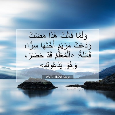 Picture 07 - يوحنَّا 11:28 AVD - وَلَمَّا قَالَتْ هَذَا - Bible Verse Picture