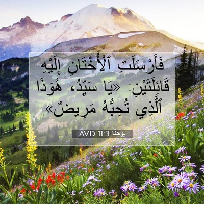Picture 07 - يوحنَّا 11:3 AVD - فَأَرْسَلَتِ ٱلْأُخْتَانِ - Bible Verse Picture