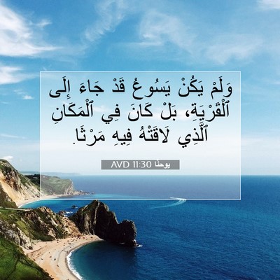 Picture 07 - يوحنَّا 11:30 AVD - وَلَمْ يَكُنْ يَسُوعُ قَدْ - Bible Verse Picture