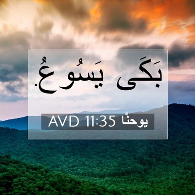 Picture 07 - يوحنَّا 11:35 AVD - بَكَى - Bible Verse Picture