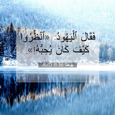Picture 07 - يوحنَّا 11:36 AVD - فَقَالَ ٱلْيَهُودُ: - Bible Verse Picture