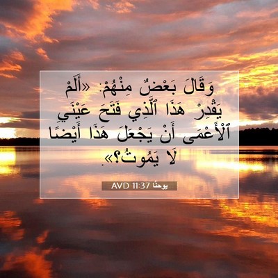 Picture 07 - يوحنَّا 11:37 AVD - وَقَالَ بَعْضٌ مِنْهُمْ: - Bible Verse Picture