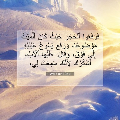 Picture 07 - يوحنَّا 11:41 AVD - فَرَفَعُوا ٱلْحَجَرَ - Bible Verse Picture