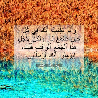 Picture 07 - يوحنَّا 11:42 AVD - وَأَنَا عَلِمْتُ أَنَّكَ - Bible Verse Picture
