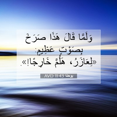 Picture 07 - يوحنَّا 11:43 AVD - وَلَمَّا قَالَ هَذَا - Bible Verse Picture