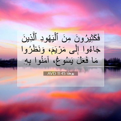 Picture 07 - يوحنَّا 11:45 AVD - فَكَثِيرُونَ مِنَ - Bible Verse Picture