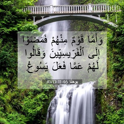 Picture 07 - يوحنَّا 11:46 AVD - وَأَمَّا قَوْمٌ مِنْهُمْ - Bible Verse Picture