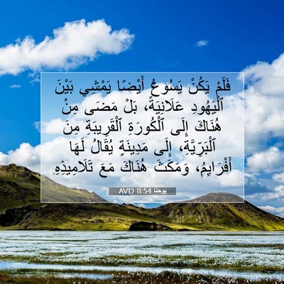 Picture 07 - يوحنَّا 11:54 AVD - فَلَمْ يَكُنْ يَسُوعُ - Bible Verse Picture