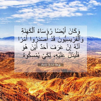 Picture 07 - يوحنَّا 11:57 AVD - وَكَانَ أَيْضًا رُؤَسَاءُ - Bible Verse Picture