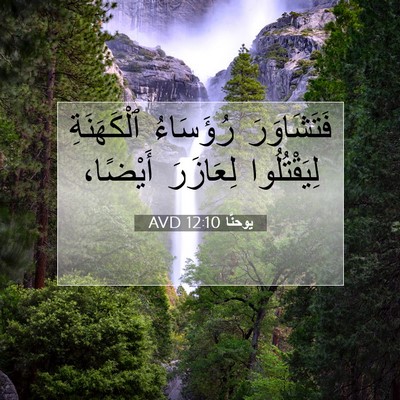 Picture 07 - يوحنَّا 12:10 AVD - فَتَشَاوَرَ رُؤَسَاءُ - Bible Verse Picture