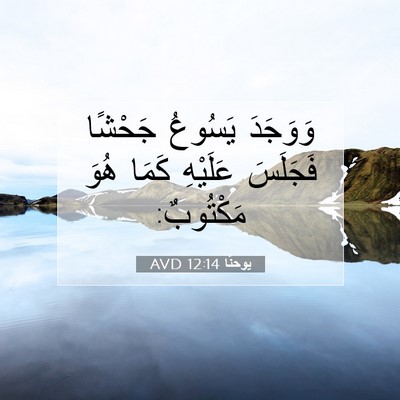 Picture 07 - يوحنَّا 12:14 AVD - وَوَجَدَ يَسُوعُ جَحْشًا - Bible Verse Picture