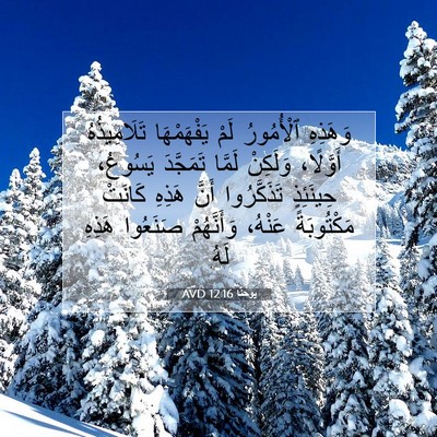 Picture 07 - يوحنَّا 12:16 AVD - وَهَذِهِ ٱلْأُمُورُ لَمْ - Bible Verse Picture