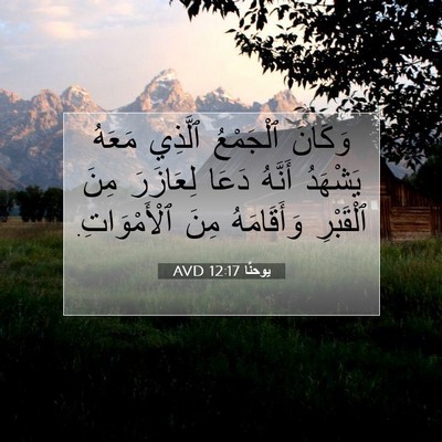 Picture 07 - يوحنَّا 12:17 AVD - وَكَانَ ٱلْجَمْعُ ٱلَّذِي - Bible Verse Picture