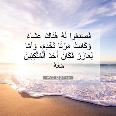 Picture 07 - يوحنَّا 12:2 AVD - فَصَنَعُوا لَهُ هُنَاكَ - Bible Verse Picture