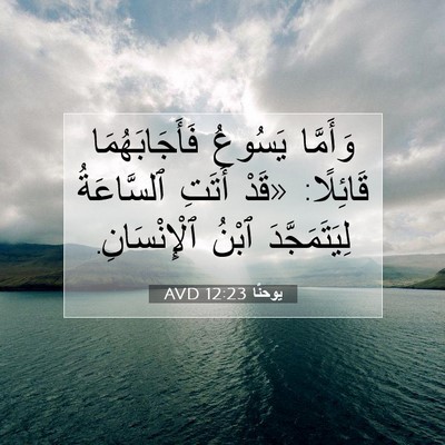 Picture 07 - يوحنَّا 12:23 AVD - وَأَمَّا يَسُوعُ - Bible Verse Picture