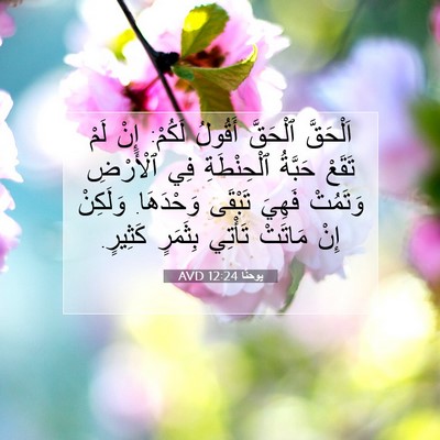 Picture 07 - يوحنَّا 12:24 AVD - اَلْحَقَّ ٱلْحَقَّ - Bible Verse Picture