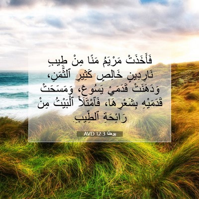 Picture 07 - يوحنَّا 12:3 AVD - فَأَخَذَتْ مَرْيَمُ مَنًا - Bible Verse Picture