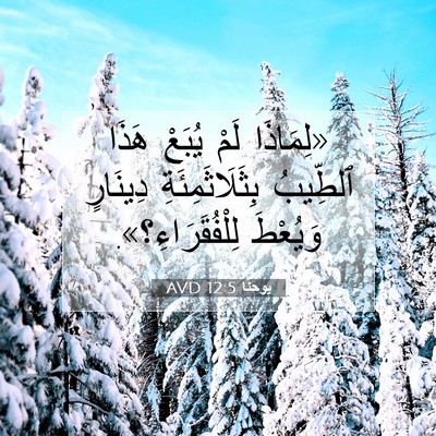 Picture 07 - يوحنَّا 12:5 AVD - «لِمَاذَا لَمْ يُبَعْ - Bible Verse Picture