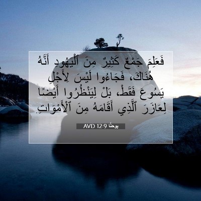 Picture 07 - يوحنَّا 12:9 AVD - فَعَلِمَ جَمْعٌ كَثِيرٌ - Bible Verse Picture