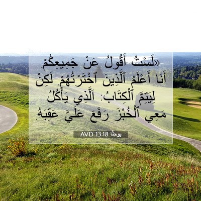 Picture 07 - يوحنَّا 13:18 AVD - «لَسْتُ أَقُولُ عَنْ - Bible Verse Picture
