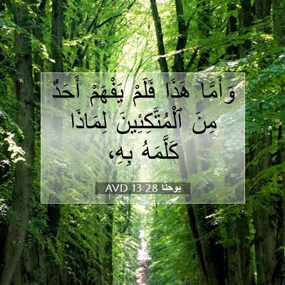 Picture 07 - يوحنَّا 13:28 AVD - وَأَمَّا هَذَا فَلَمْ - Bible Verse Picture