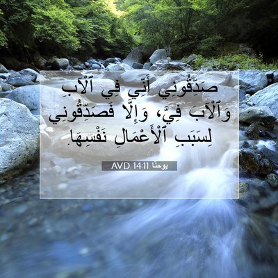 Picture 07 - يوحنَّا 14:11 AVD - صَدِّقُونِي أَنِّي فِي - Bible Verse Picture