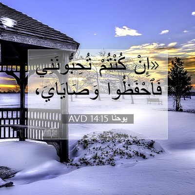 Picture 07 - يوحنَّا 14:15 AVD - «إِنْ كُنْتُمْ - Bible Verse Picture