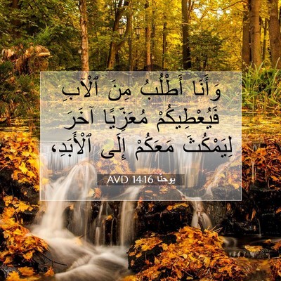 Picture 07 - يوحنَّا 14:16 AVD - وَأَنَا أَطْلُبُ مِنَ - Bible Verse Picture