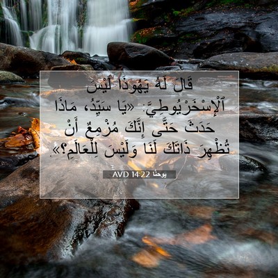 Picture 07 - يوحنَّا 14:22 AVD - قَالَ لَهُ يَهُوذَا لَيْسَ - Bible Verse Picture