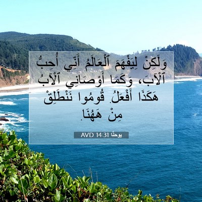 Picture 07 - يوحنَّا 14:31 AVD - وَلَكِنْ لِيَفْهَمَ - Bible Verse Picture