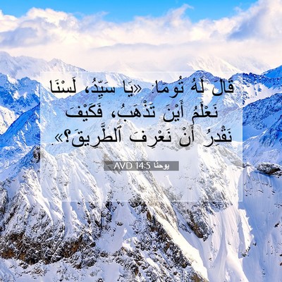 Picture 07 - يوحنَّا 14:5 AVD - قَالَ لَهُ تُومَا: «يَا - Bible Verse Picture