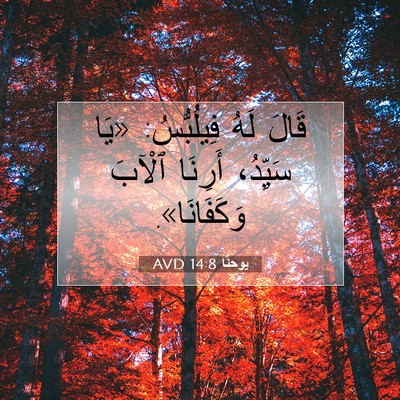 Picture 07 - يوحنَّا 14:8 AVD - قَالَ لَهُ فِيلُبُّسُ: - Bible Verse Picture